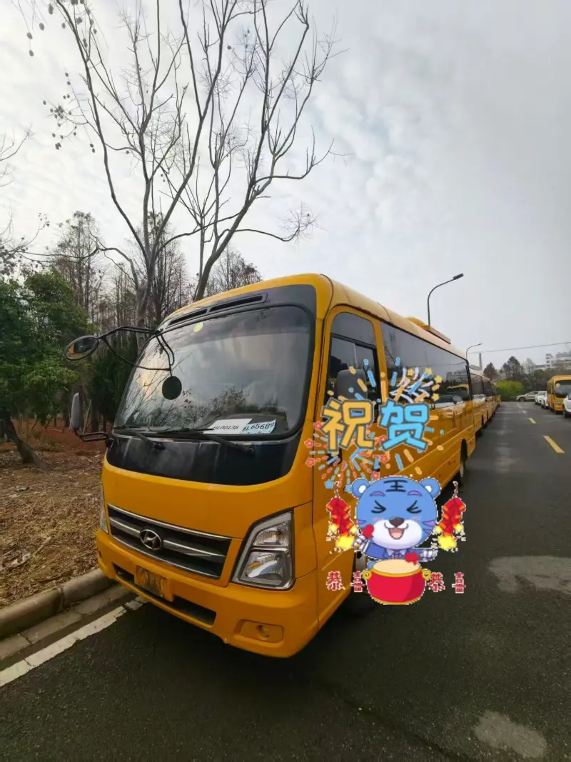 Bisnis Bus Penumpang Bekas China Honglong Terus Berkembang di Bulan Maret; Beberapa Kendaraan Dikirim ke Klien Global